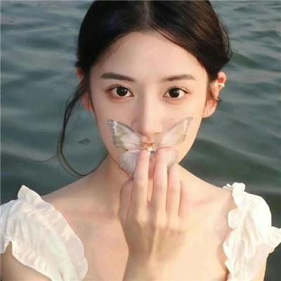 青云志2